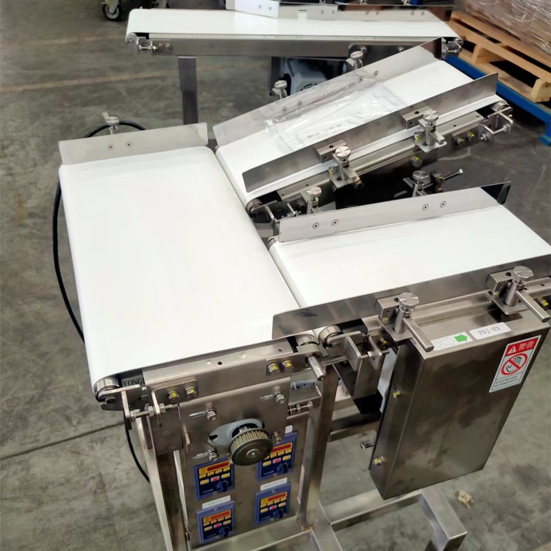 江苏某食品行业皮带输送机